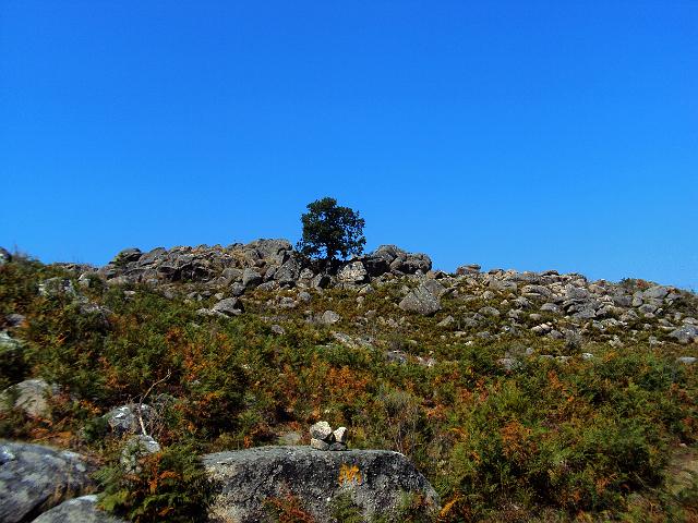 143- Paisagem.jpg
